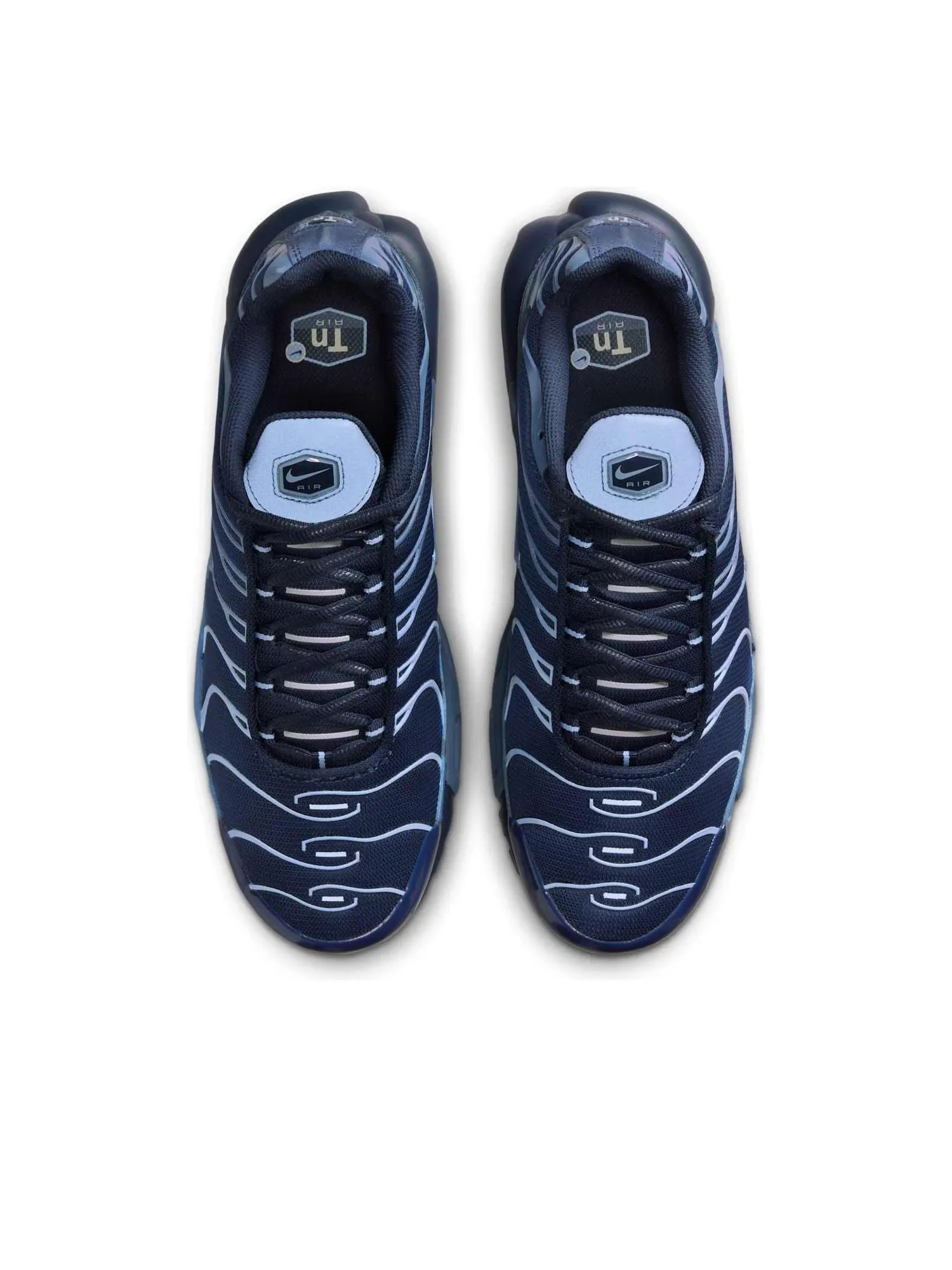 Кроссовки Nike Air Max Plus 'Obsidian Aluminum' — изображение 2 из 6, синий