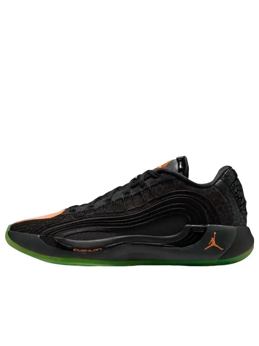Кроссовки Air Jordan Luka 4 PF 'Safari' IO0203-001 — изображение 1 из 3, черный
