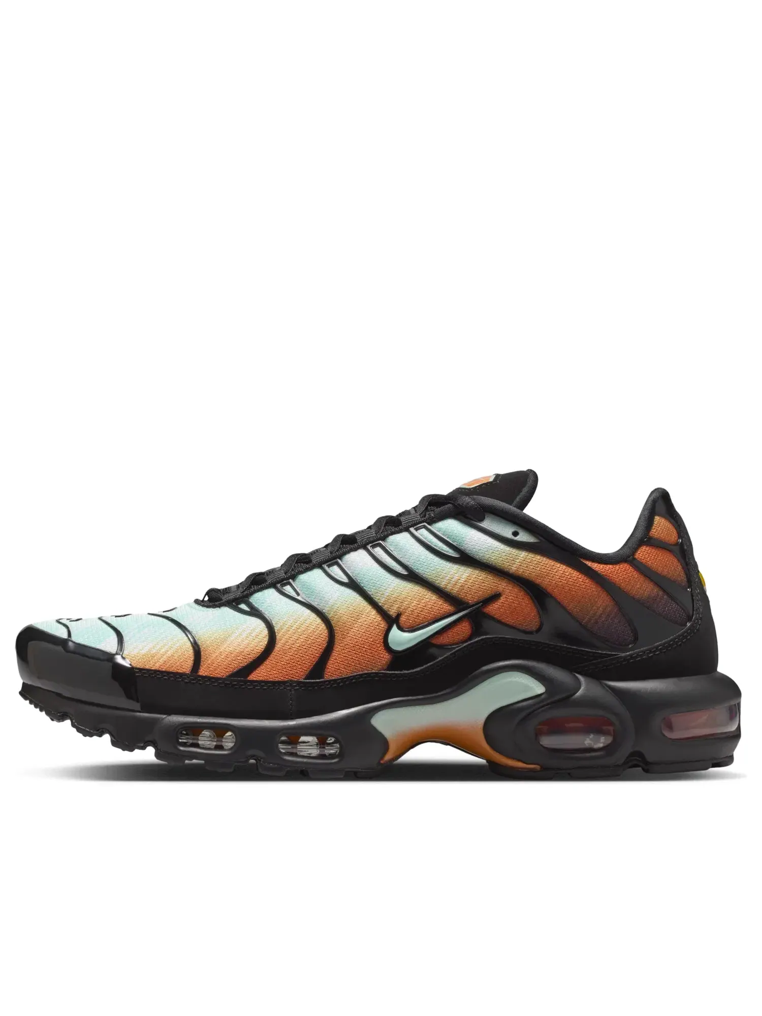 Мужские кроссовки с верхом из текстиля Nike Air Max Plus OG Premium Monarch Black — изображение 1 из 7, мульти