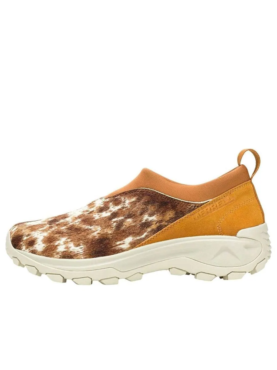 Кроссовки Merrell Winter Moc 3 CH SE 'Spice' — изображение 1 из 6, бежевый