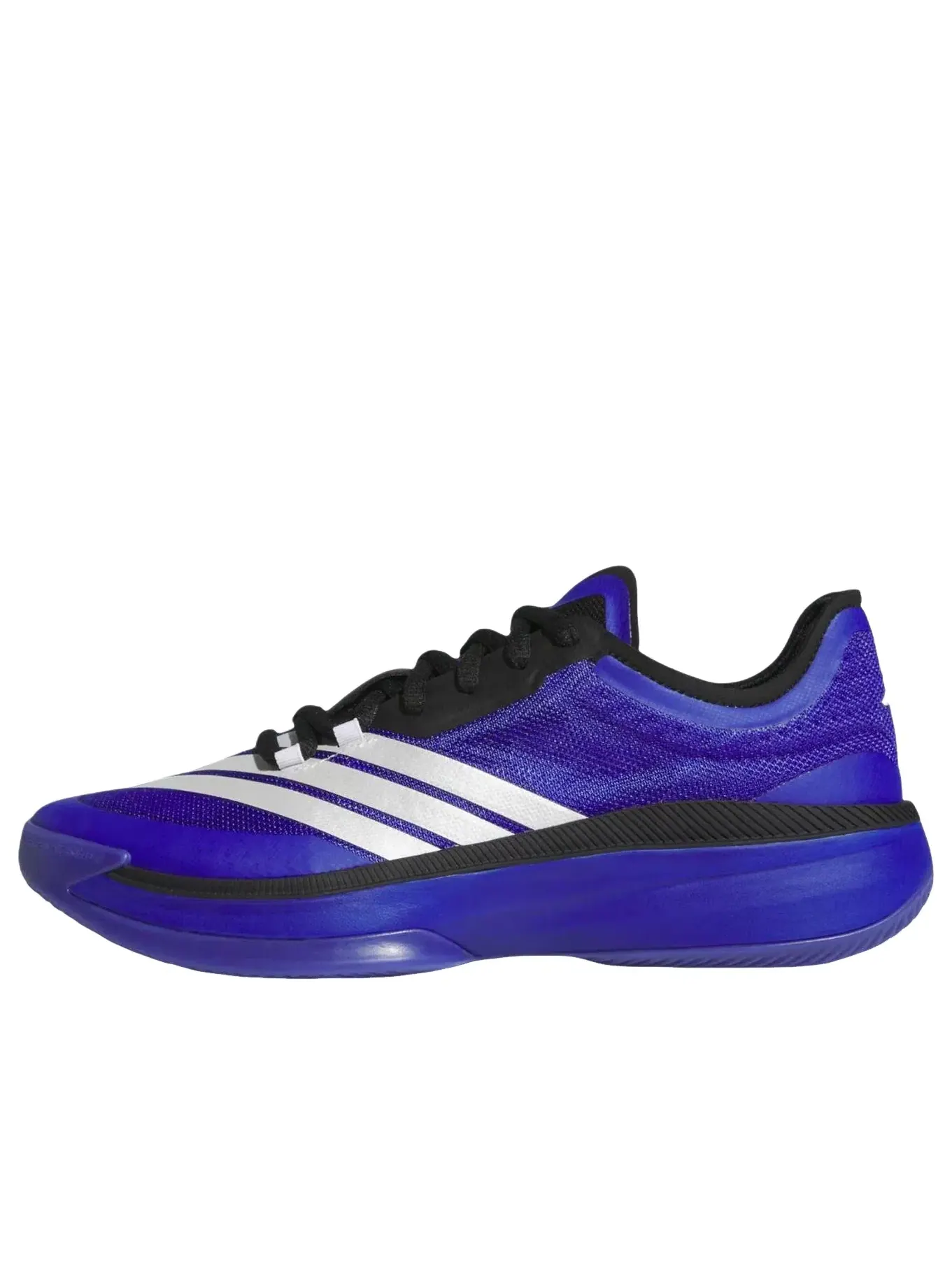 Мужские кроссовки с низким верхом Adidas Adizero Select 3.0 Low — изображение 1 из 6, синий
