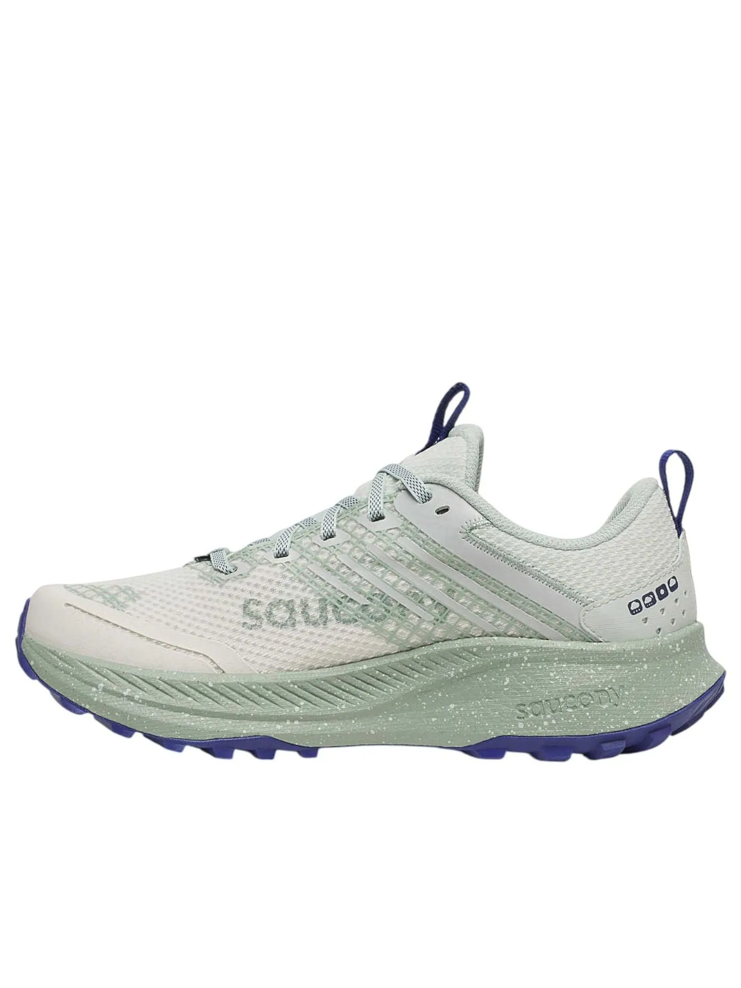 (WMNS) Saucony Ride TR2 GTX 'Quartz Mist' — изображение 1 из 5, серый