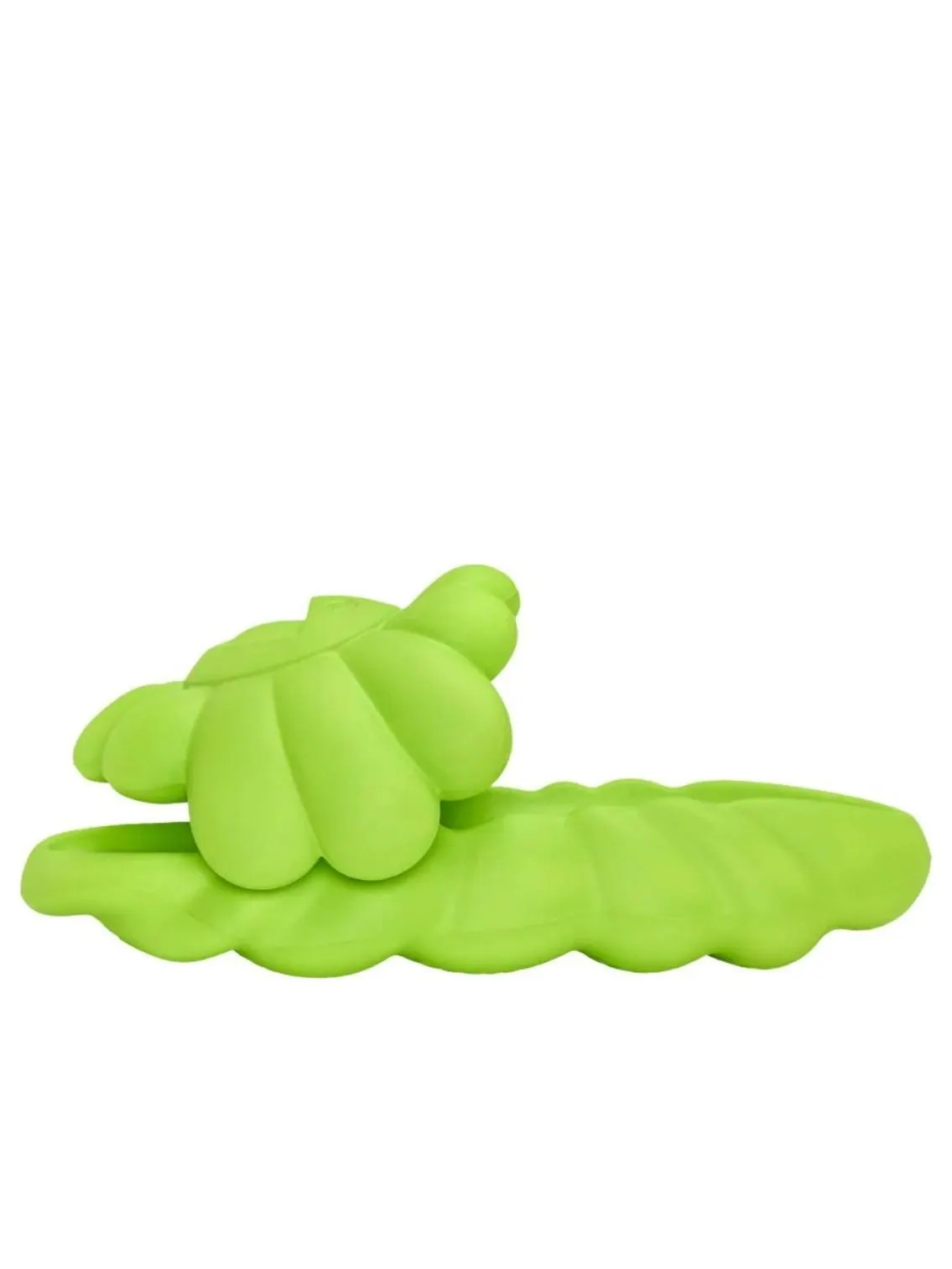 Ohana Hatake Оана Хатаке Оана полноцветковая 'Lime Zest' — изображение 1 из 5, желтый