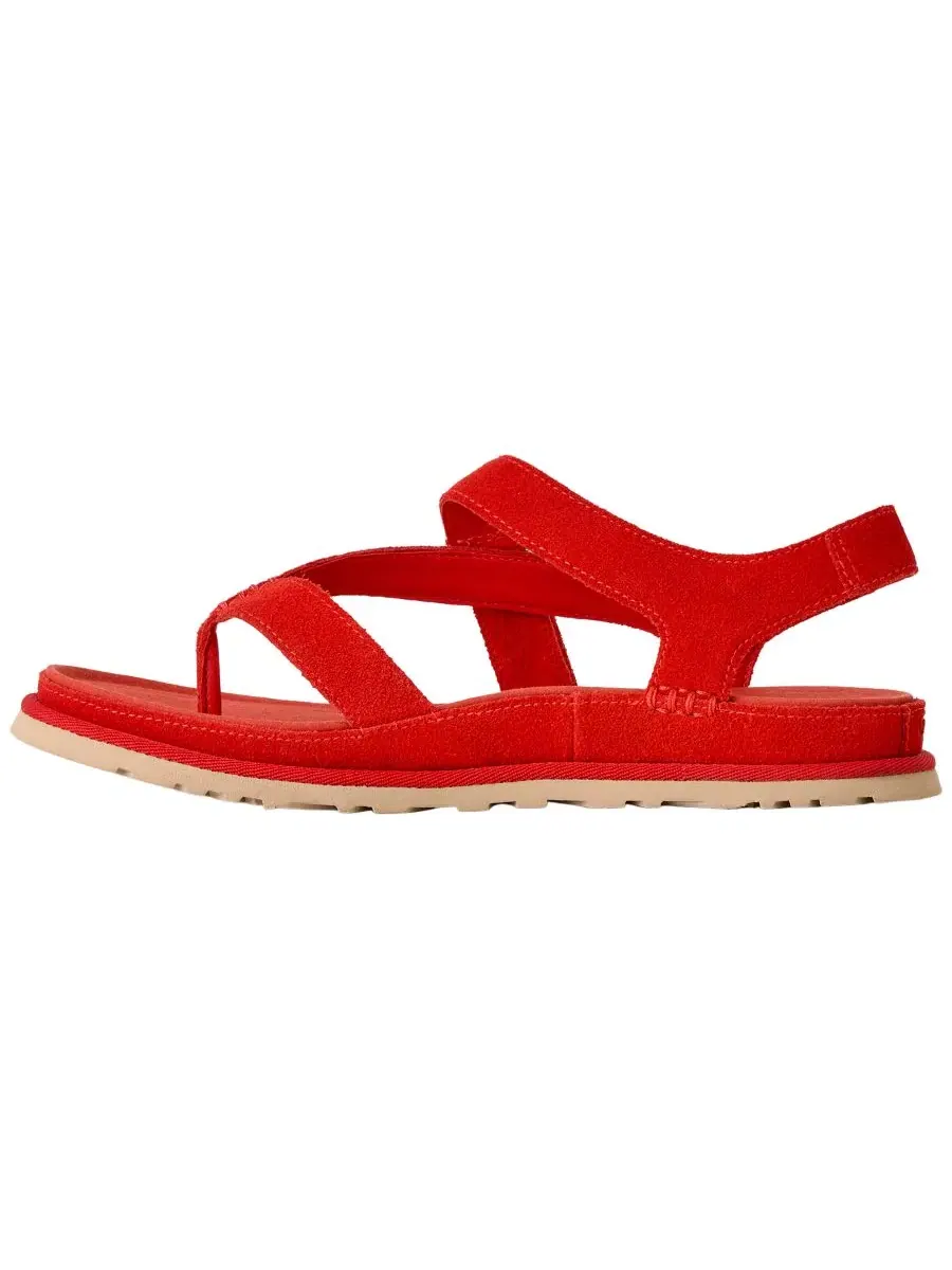 Женские босоножки GoldenGaze Toe Post с открытым мысом, UGG — изображение 6 из 7, красный