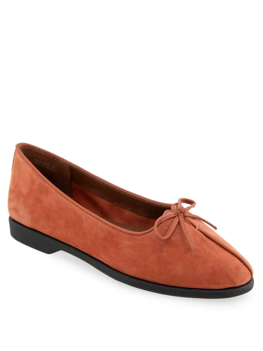 Женские балетки Novia с зауженным носком Aerosoles, Rust Suede — изображение 1 из 6