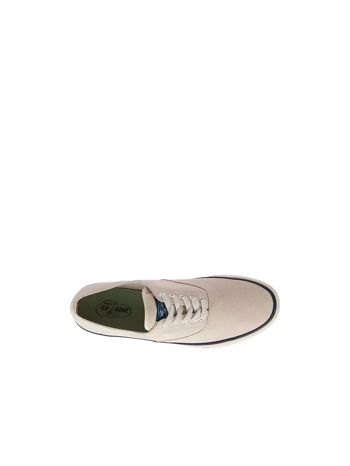 Мужские классические кроссовки CVO Sperry — изображение 2 из 5, белый/мульти