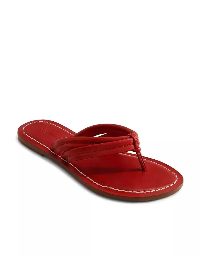 Сандалии Bernardo Miami Thong Bernardo Footwear — изображение 5 из 6, красный