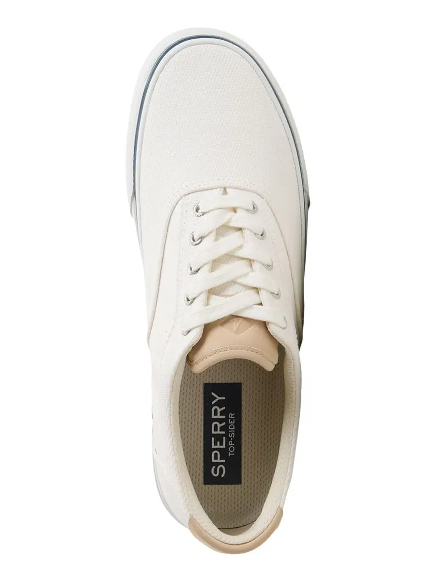 Мужские кроссовки CVO на шнуровке Sperry — изображение 4 из 5, белый