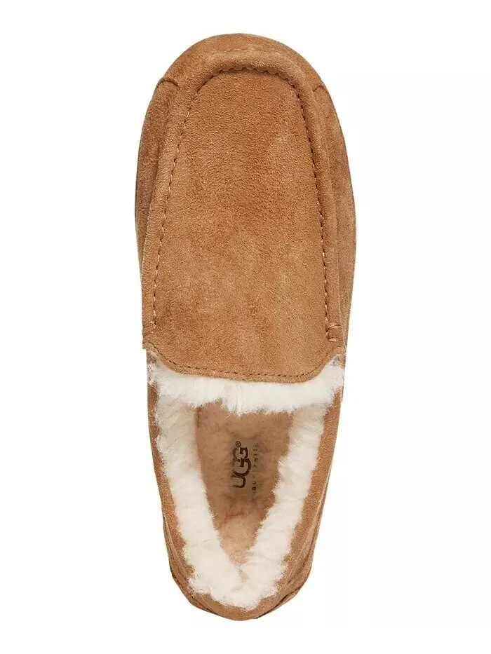 Мужские мокасины Ascot UGG® — изображение 4 из 4, орех