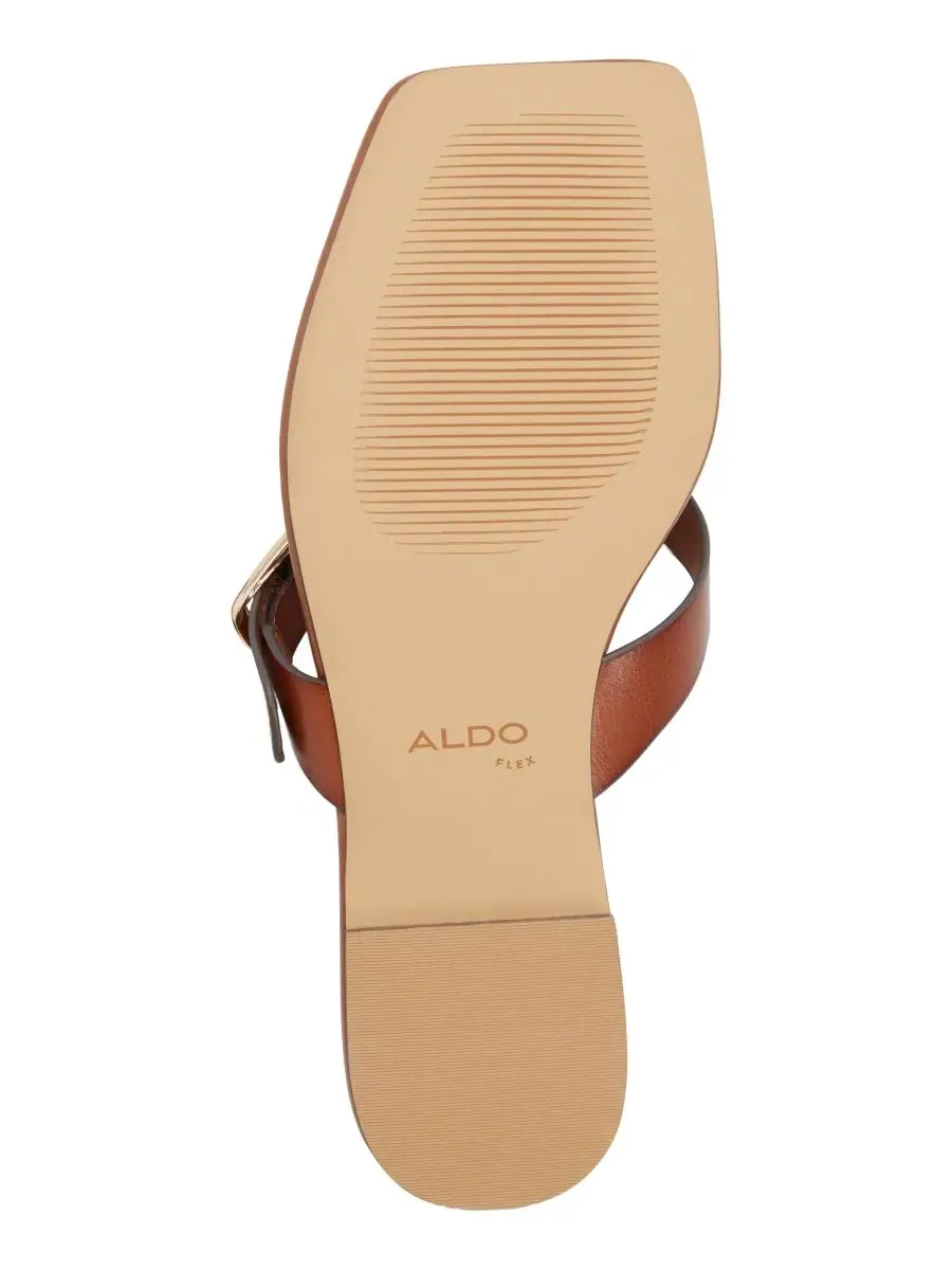 Женские сандалии-вьетнамки Leonnia на плоской подошве ALDO — изображение 5 из 5, коричневый