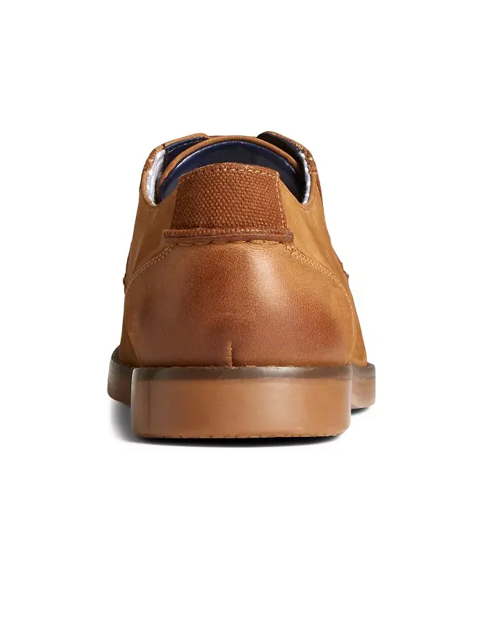 Мужские туфли-оксфорды Newman Dress Sperry — изображение 4 из 5, бежевый