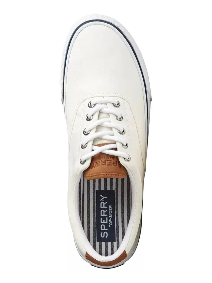 Мужские кроссовки Striper II CVO Core Canvas Sperry — изображение 4 из 6, белый