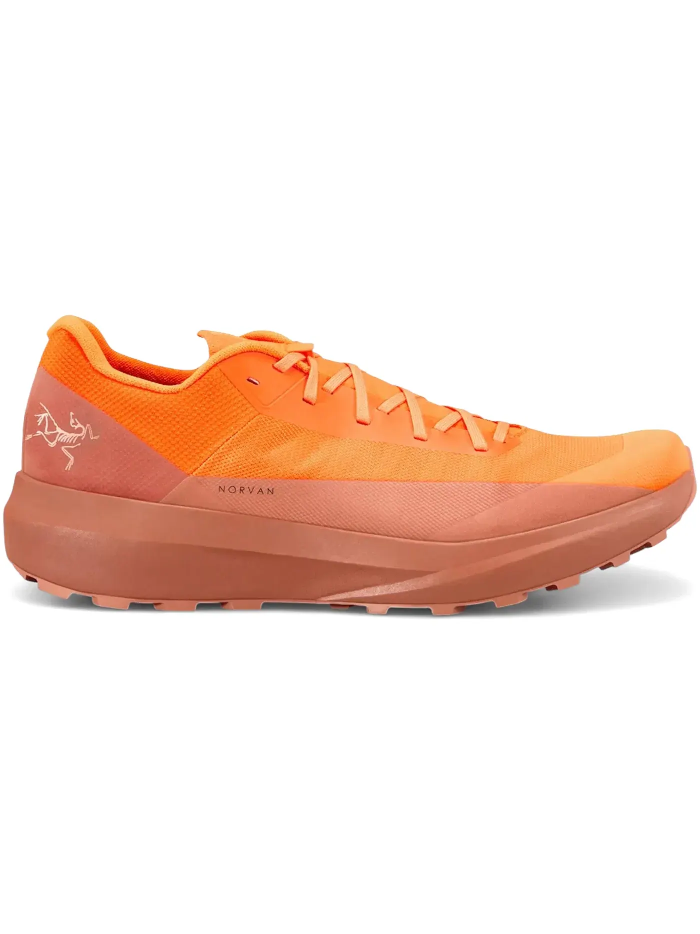Мужские кроссовки для бега с амортизацией Arc'teryx Norvan LD 4, Verve Ginger — изображение 1 из 1