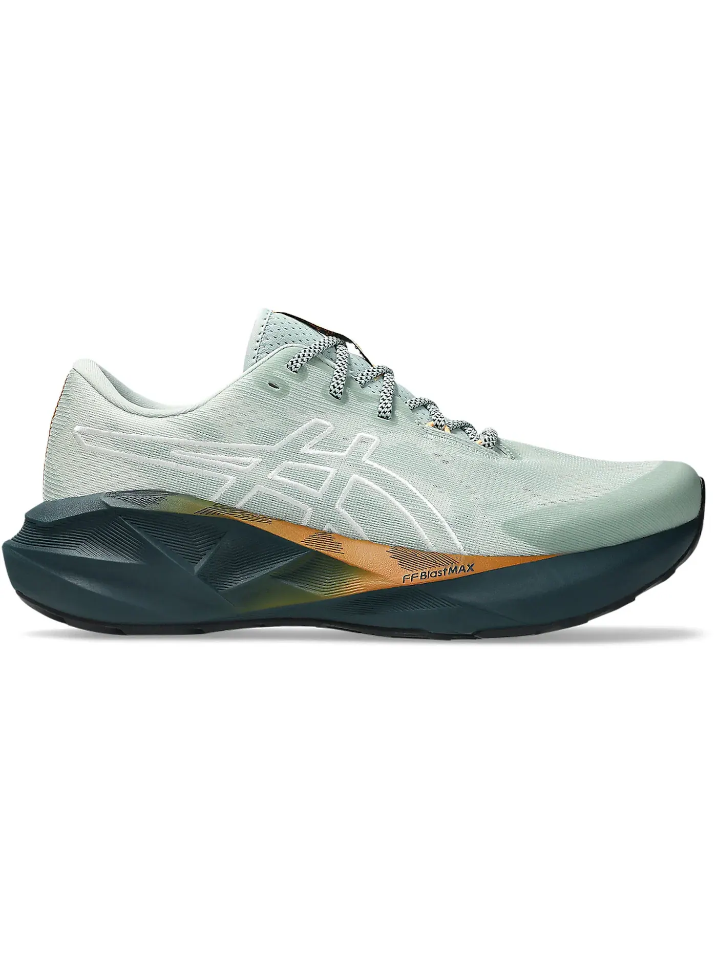 Мужские кроссовки для бега Novablast 5 TR ASICS, Nature Bathing / Lichen Rock — изображение 1 из 1