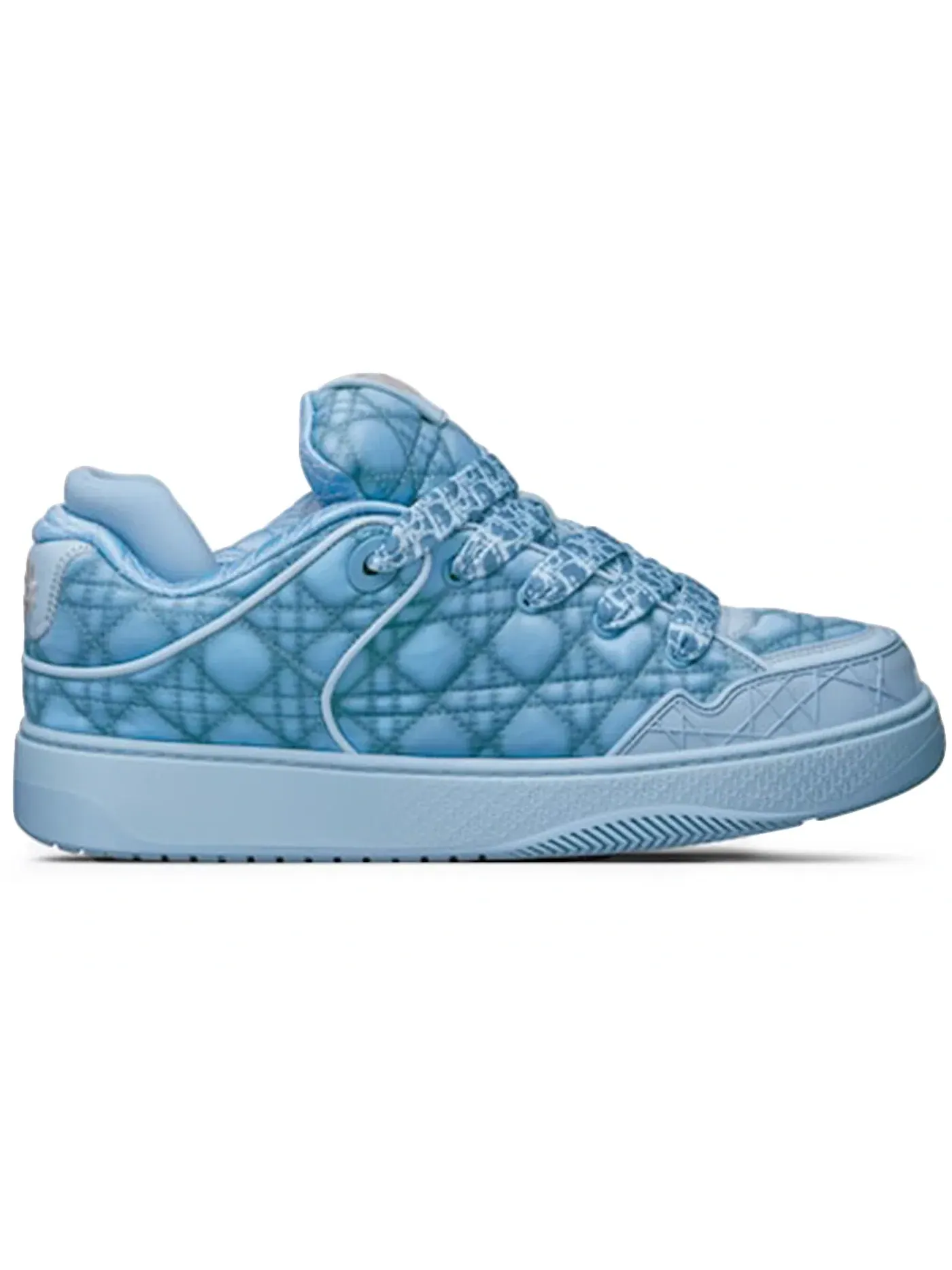 Кроссовки с принтом Dior B9S Skater