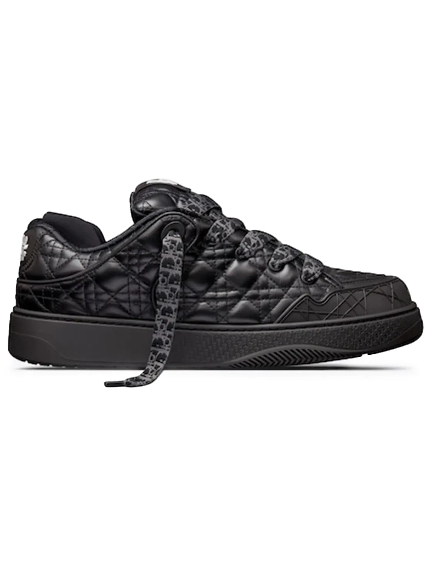 Женские кроссовки с квилтингом Dior B9S Skater Dior — изображение 1 из 1, черный/черный