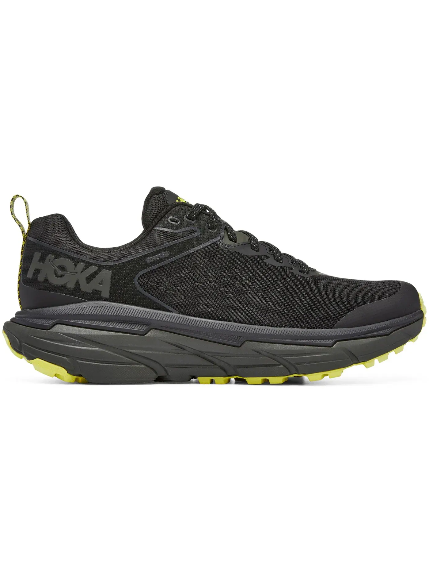Мужские кроссовки для бега с мембраной Gore-Tex Hoka One One Challenger ATR 6 Gore-Tex — изображение 1 из 1