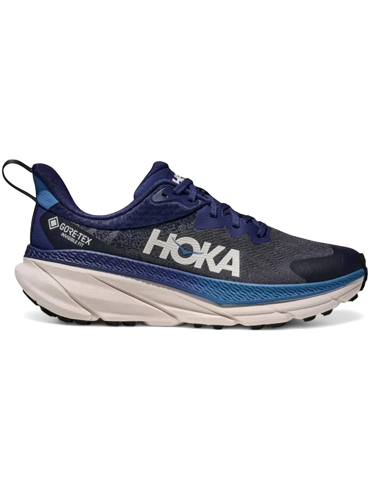 Мужские кроссовки для бега с мембраной Gore-Tex Hoka One One Challenger ATR 7 Gore-Tex — изображение 1 из 1, синий