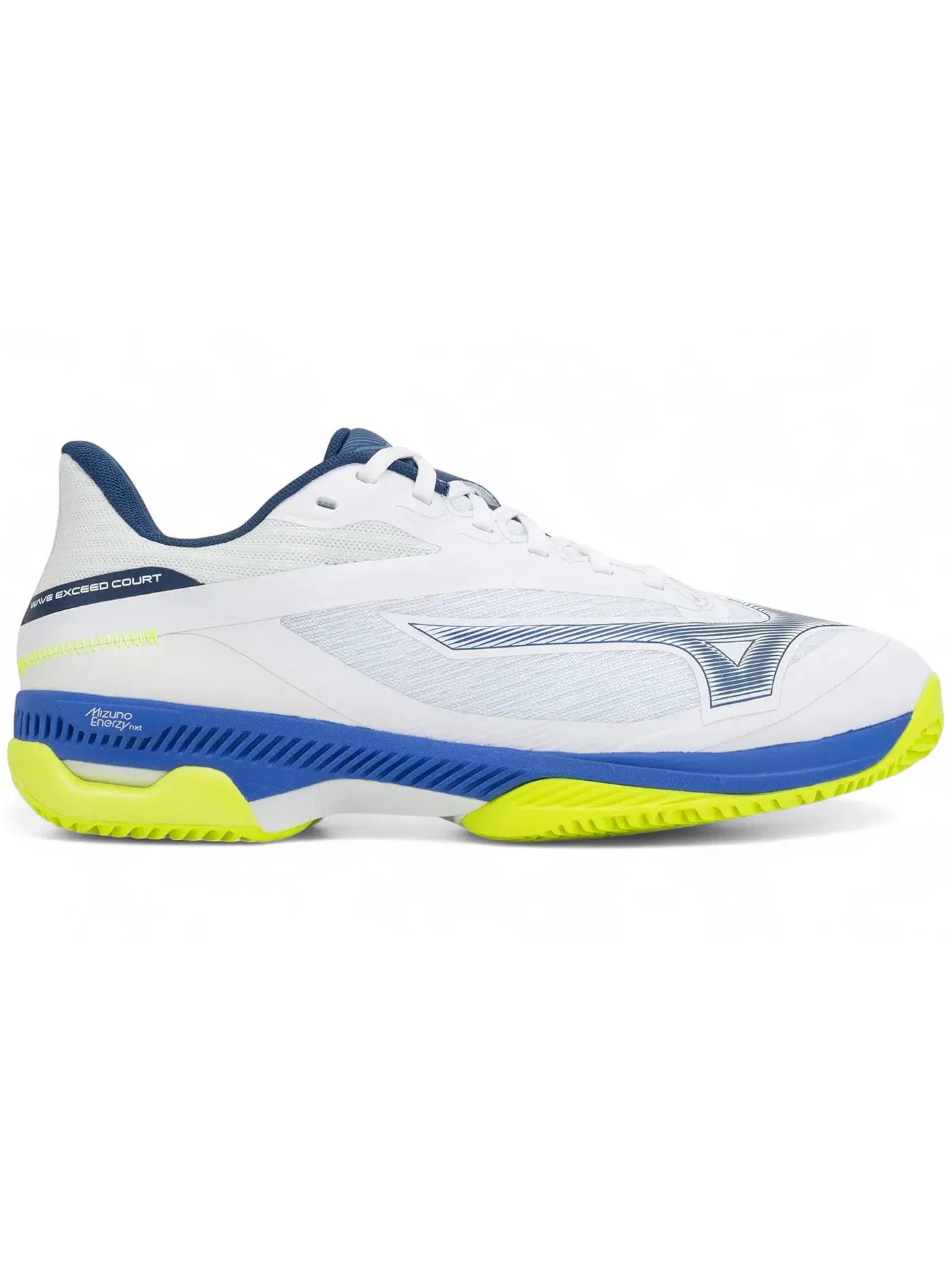 Мужские кроссовки для тенниса Mizuno Wave Exceed Court CC — изображение 1 из 1, белый синий