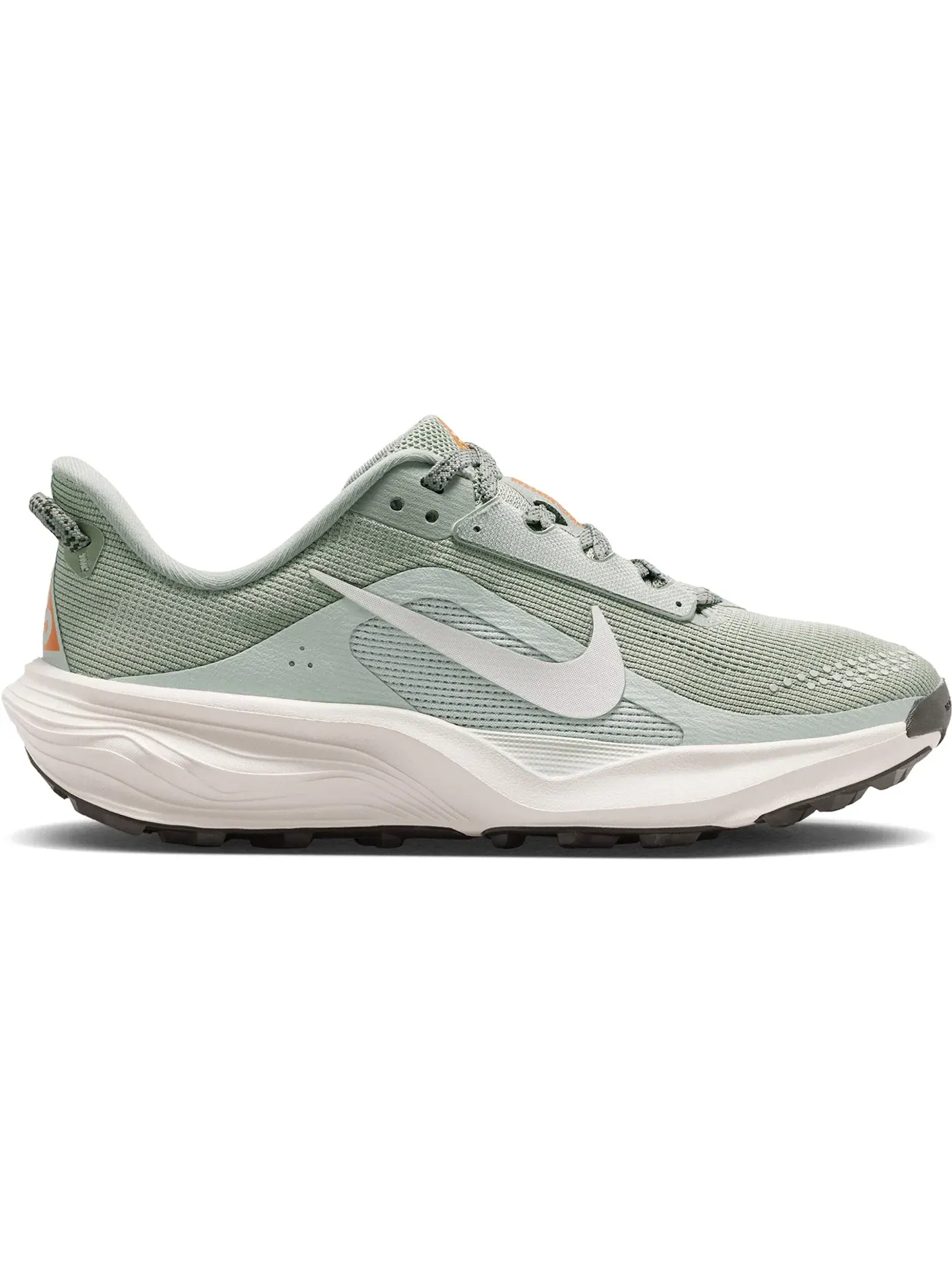 Детские кроссовки для бега с высоким сцеплением Nike ACG Pegasus Trail Nike — изображение 1 из 1