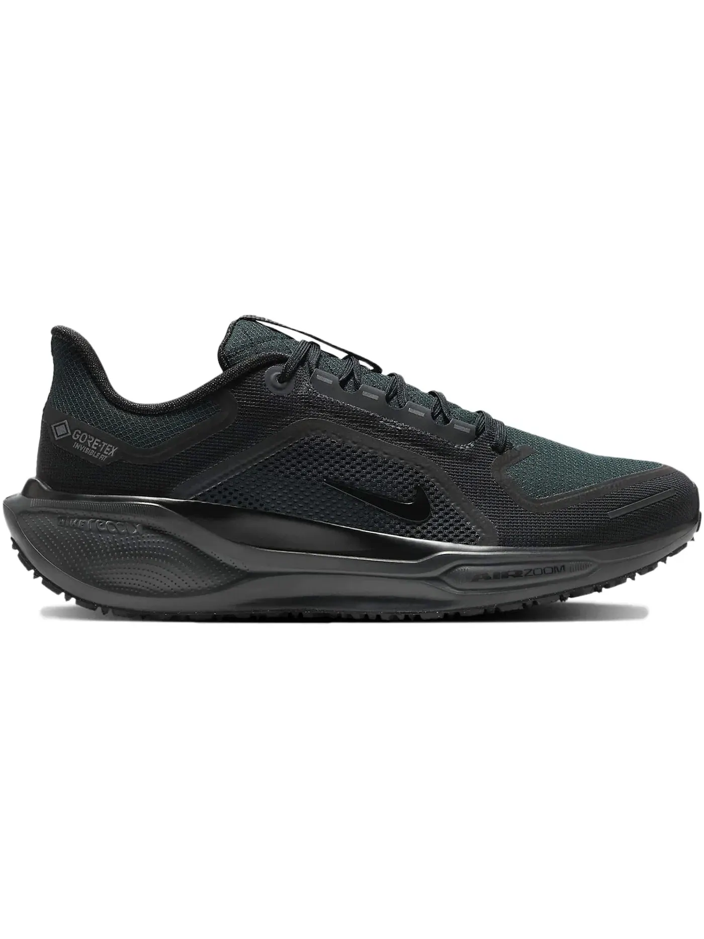 Мужские кроссовки для бега с водонепроницаемым верхом Nike Air Zoom Pegasus 41 Gore-Tex — изображение 1 из 1, черный//черный