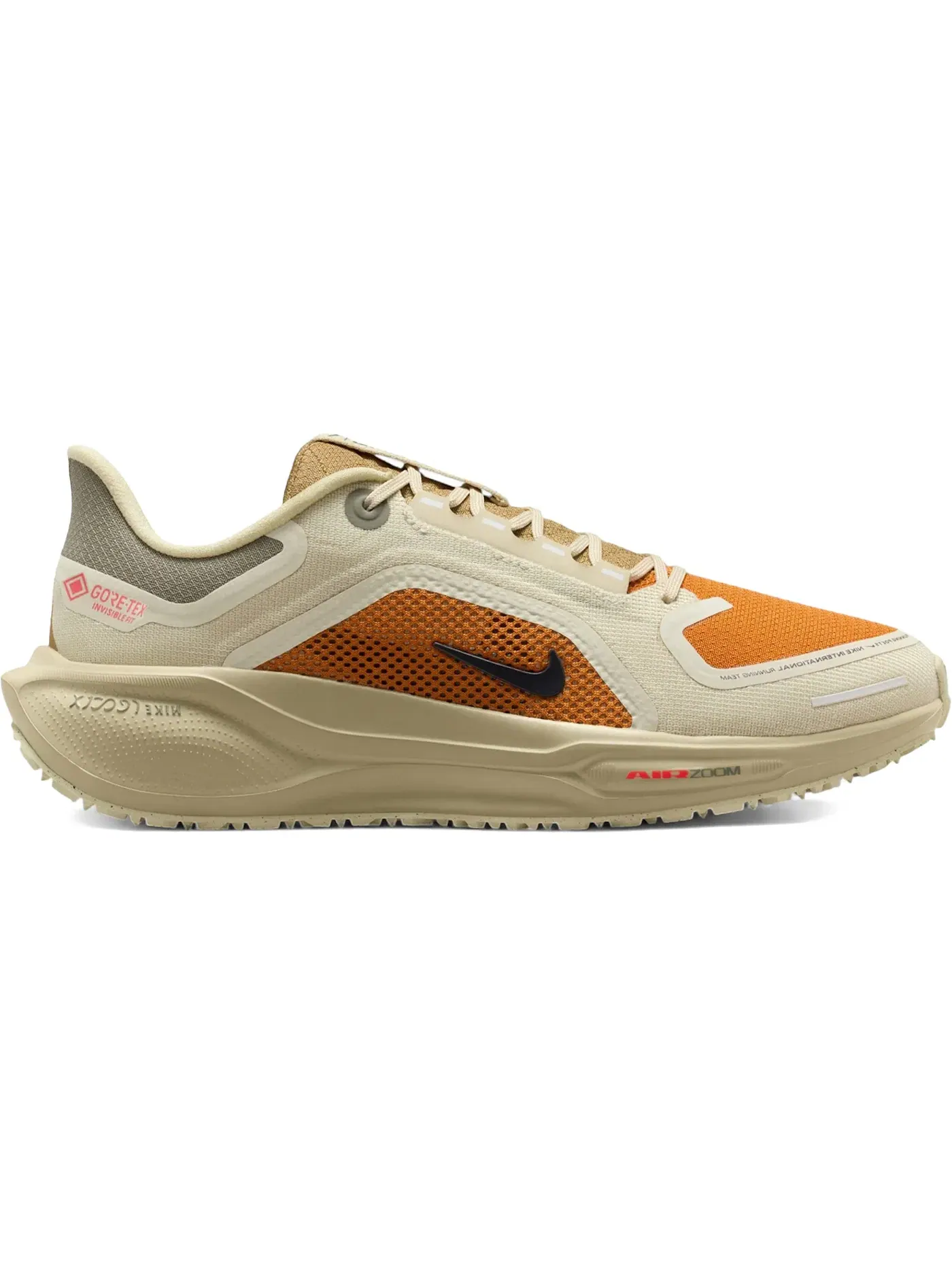 Мужские кроссовки для бега с мембраной Gore-Tex Nike Air Zoom Pegasus 41 Gore-Tex — изображение 1 из 1