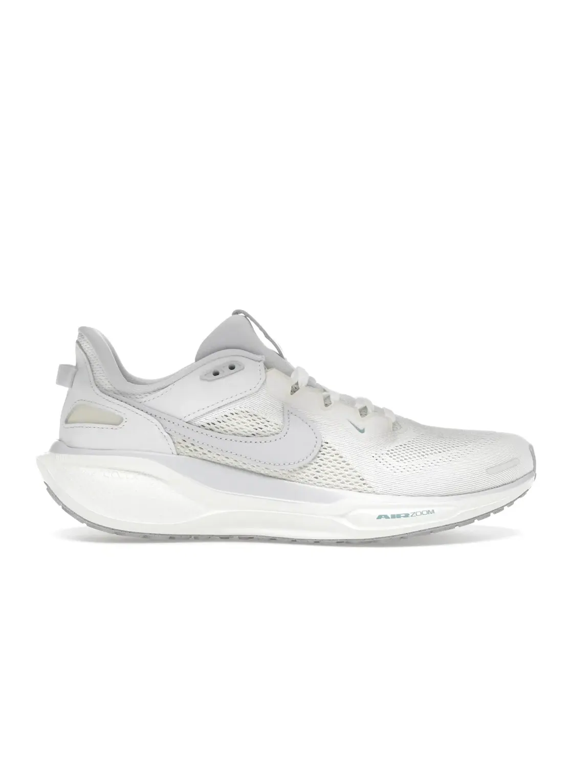 Мужские кроссовки беговые Nike Air Zoom Pegasus 41 SP — изображение 1 из 4