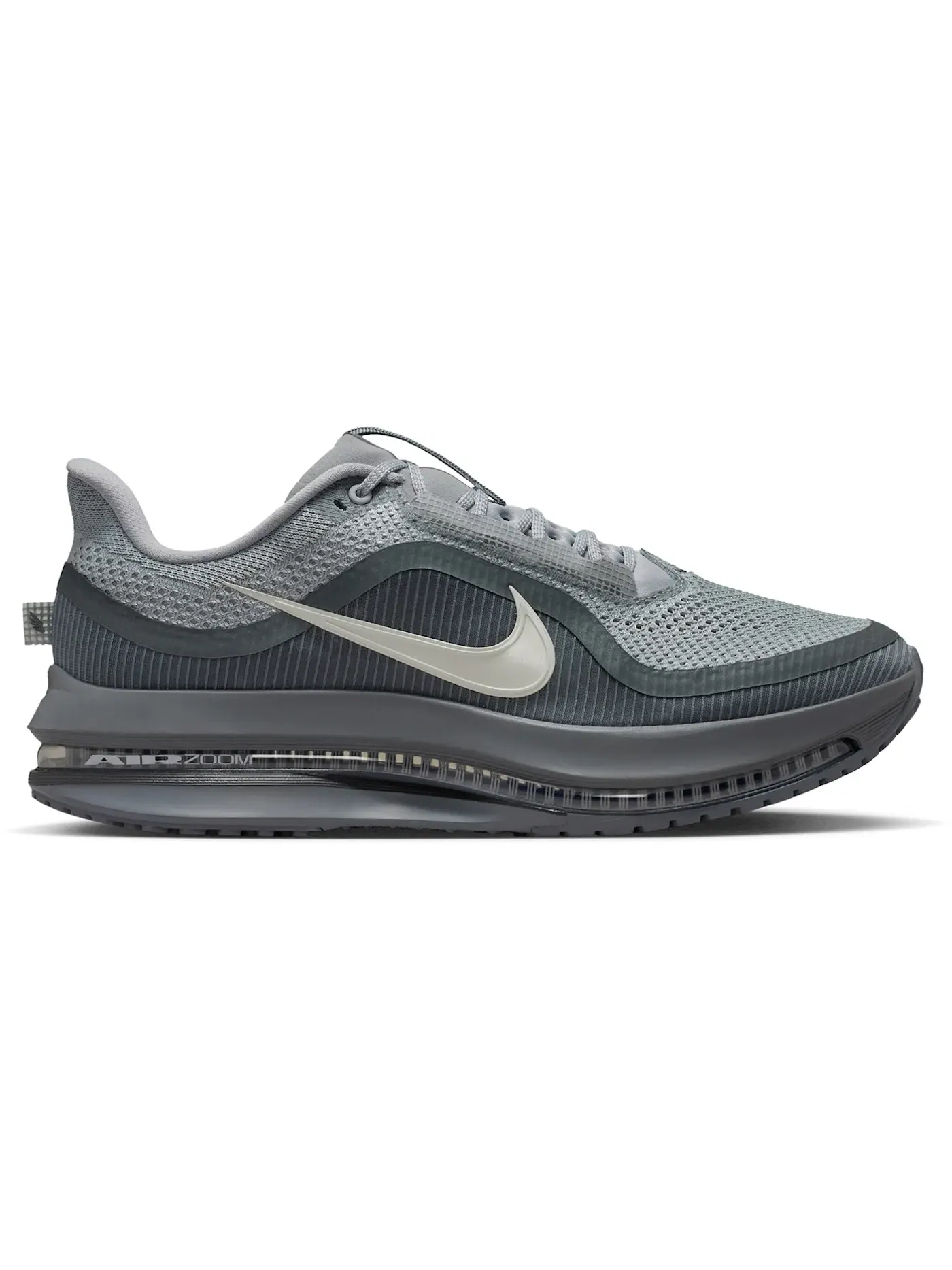 Мужские кроссовки для бега с тройной амортизацией Nike Air Zoom Pegasus Premium — изображение 1 из 1, серый серый