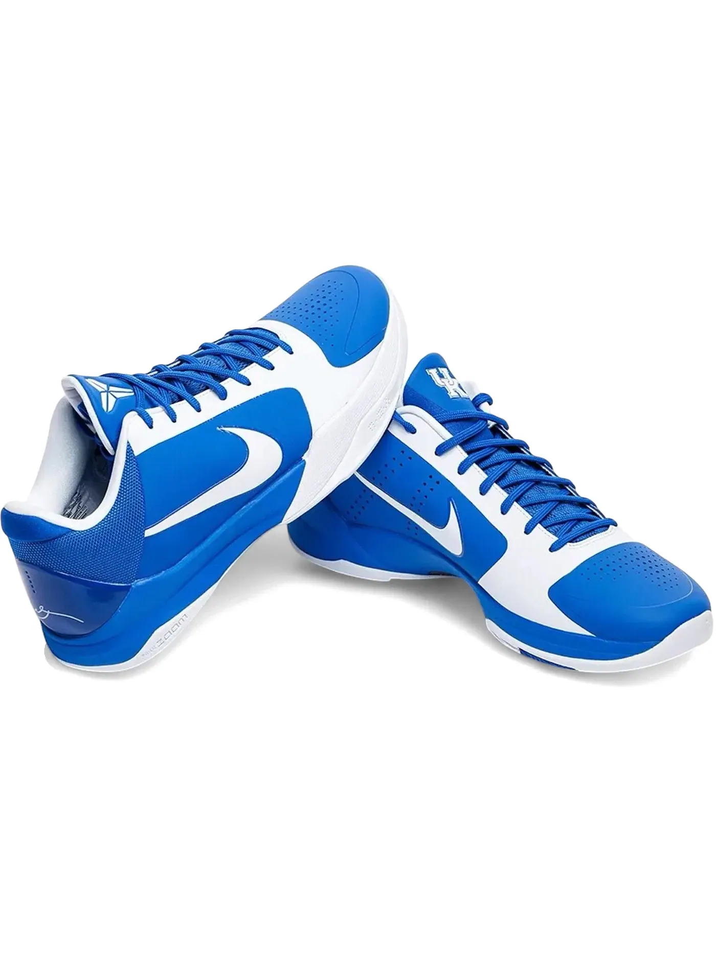 Мужские кроссовки Nike Kobe 5 Protro — изображение 1 из 1, белый