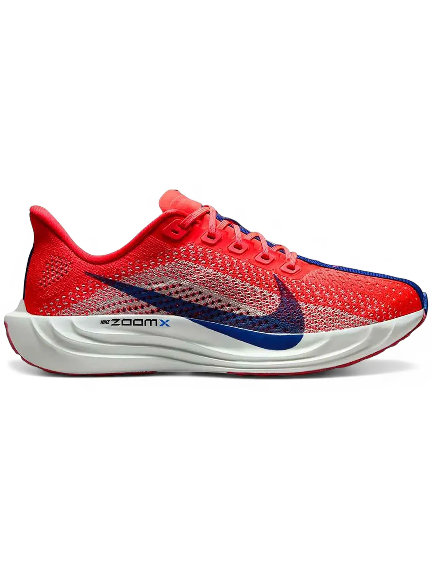 Женские кроссовки для бега с амортизацией Nike Pegasus Plus — изображение 1 из 1