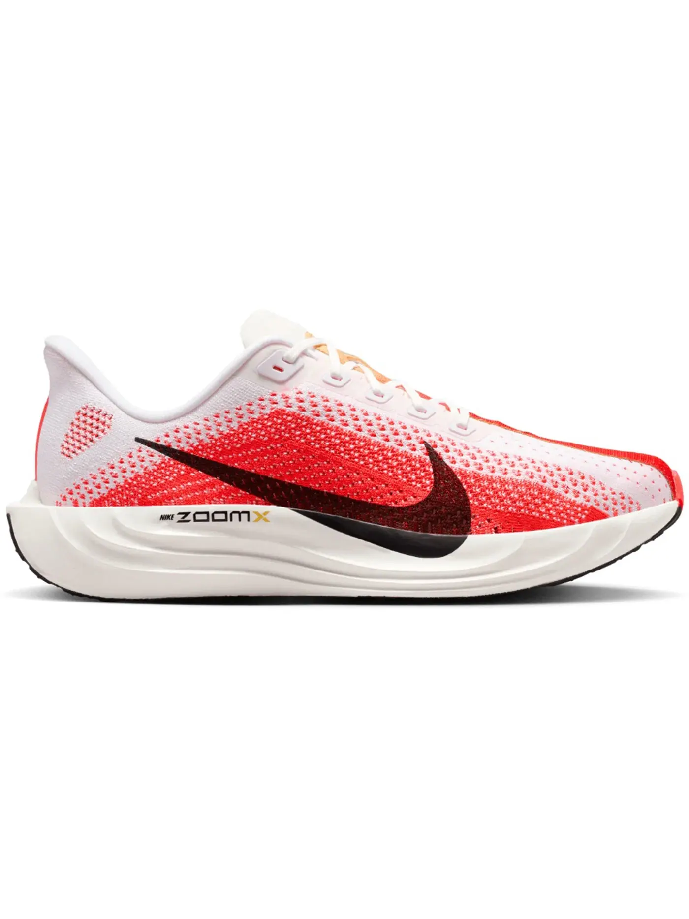 Мужские кроссовки для бега Nike Pegasus Plus — изображение 1 из 1