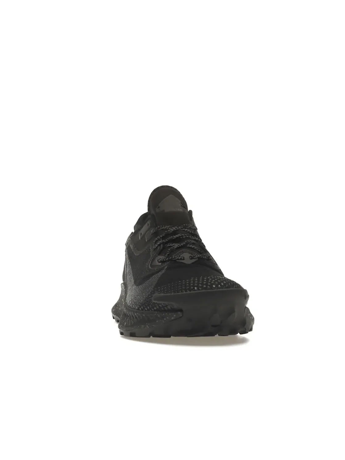 Мужские кроссовки для бега с мембраной Gore-Tex Nike Pegasus Trail 2 Gore-Tex — изображение 2 из 4, черный/черный-черный