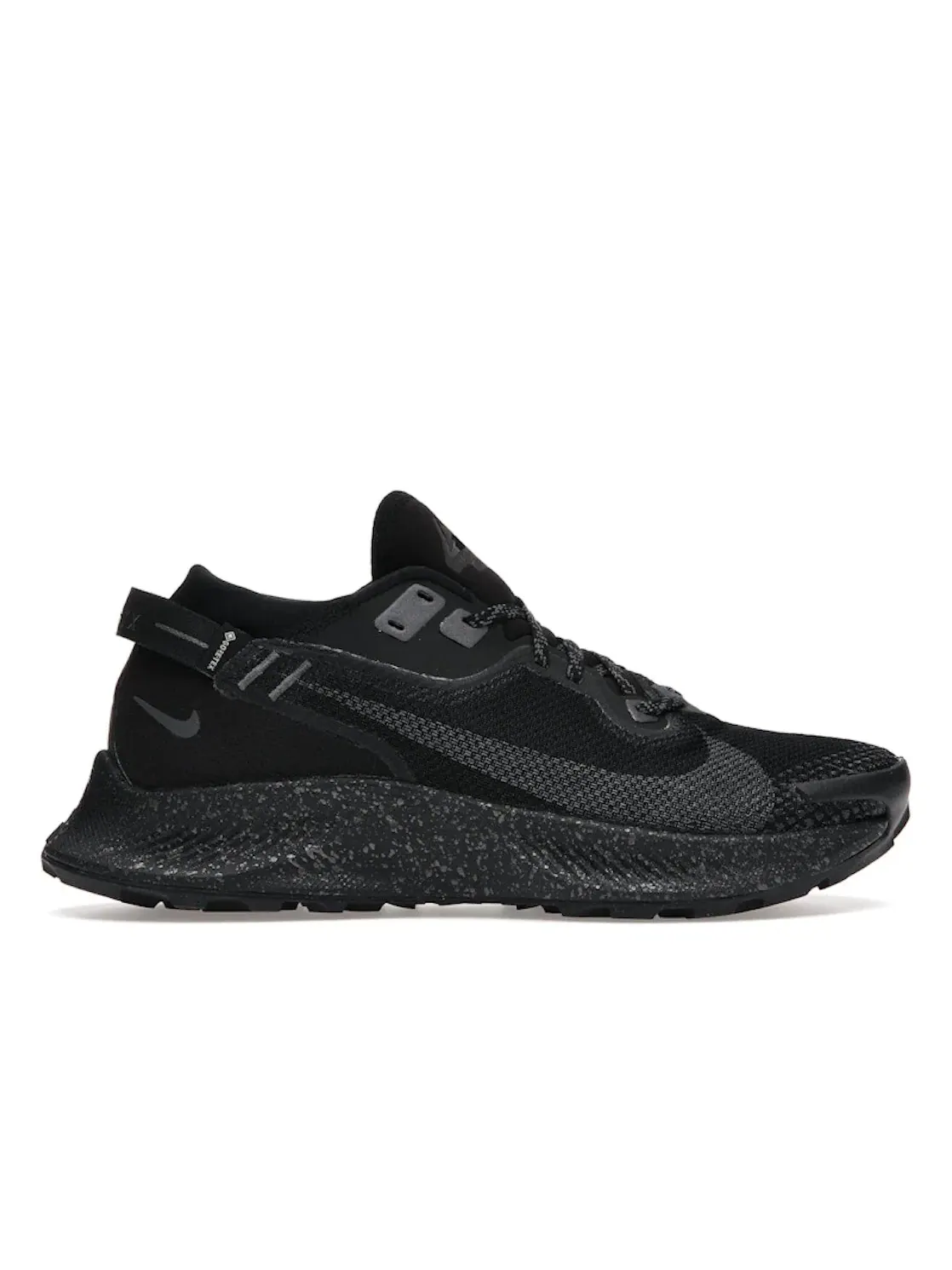 Женские кроссовки для бега с мембраной Gore-Tex Nike Pegasus Trail 2 Gore-Tex — изображение 1 из 4
