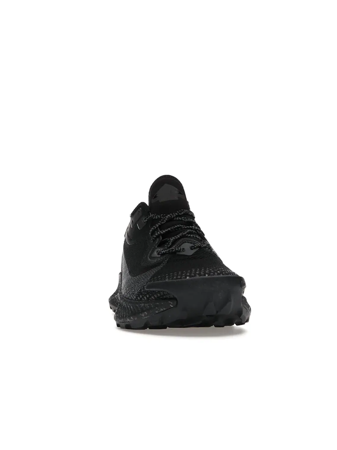 Женские кроссовки для бега с мембраной Gore-Tex Nike Pegasus Trail 2 Gore-Tex — изображение 2 из 4