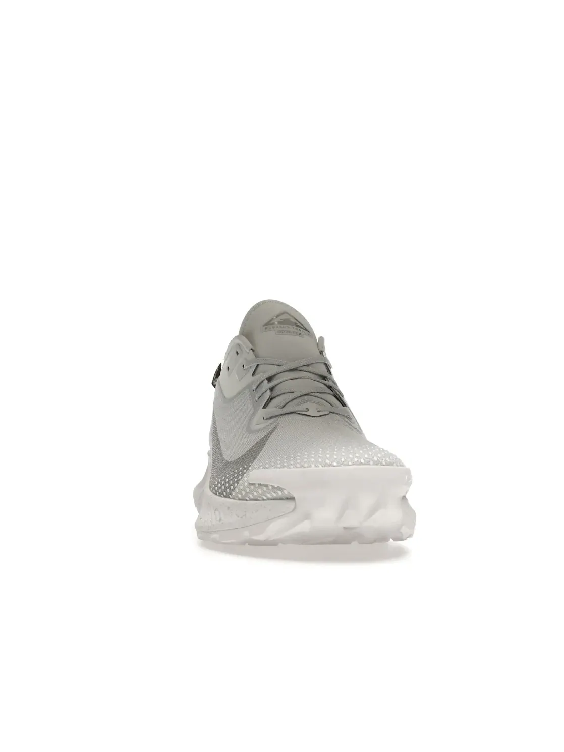 Мужские кроссовки для трейла с мембраной Nike Pegasus Trail 2 Gore-Tex — изображение 2 из 4