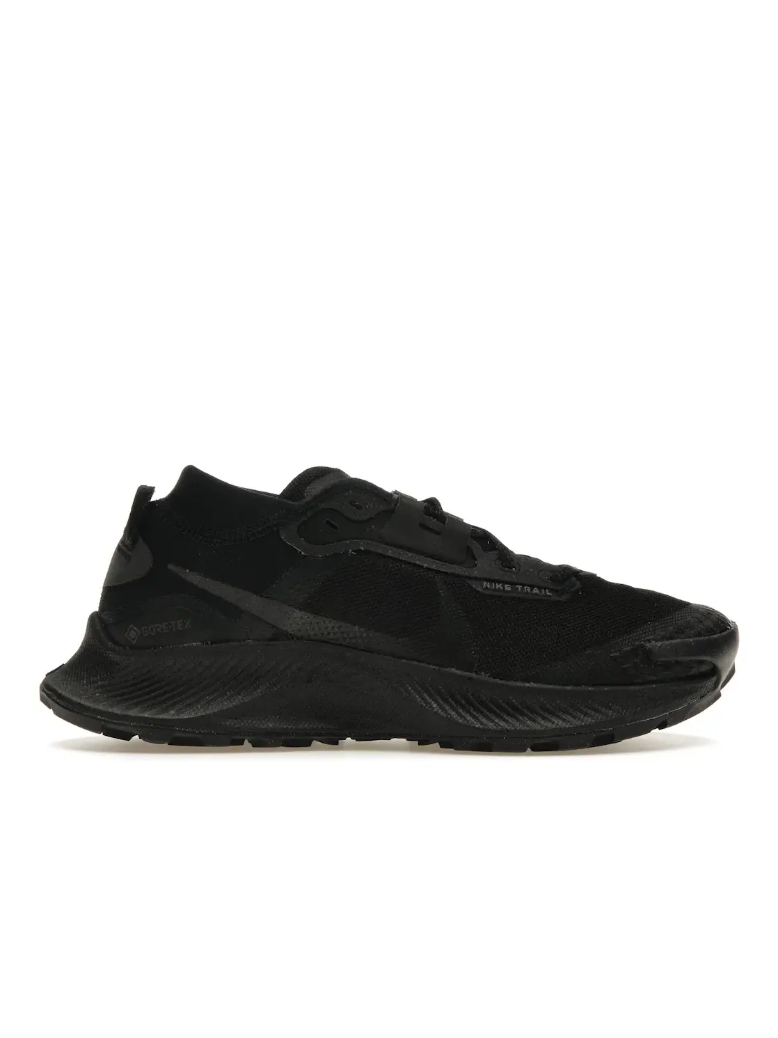 Женские кроссовки для бега по бездорожью Nike Pegasus Trail 3 Gore-Tex Nike — изображение 1 из 4
