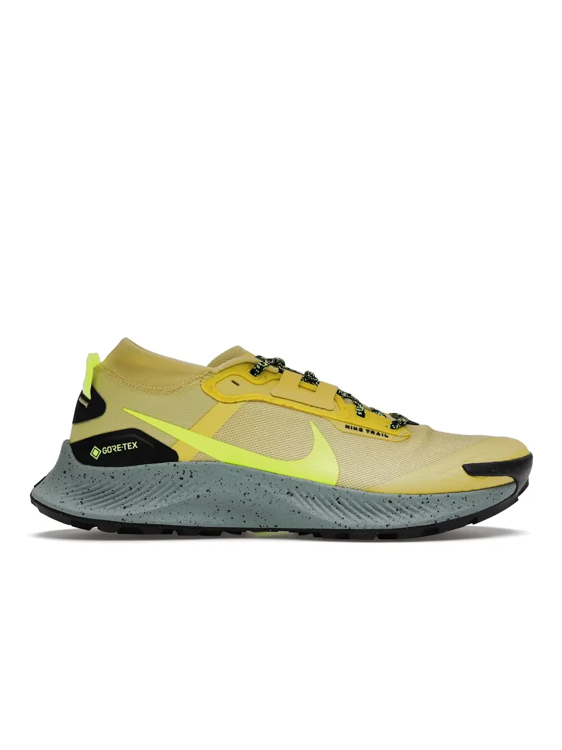 Мужские кроссовки для трейла с мембраной Nike Pegasus Trail 3 Gore-Tex — изображение 1 из 4, черный