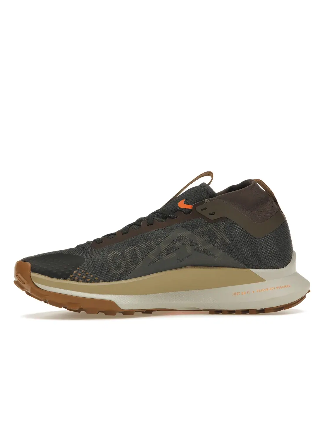 Мужские кроссовки для бега по пересеченной местности Nike Pegasus Trail 4 Gore-Tex Nike — изображение 3 из 4