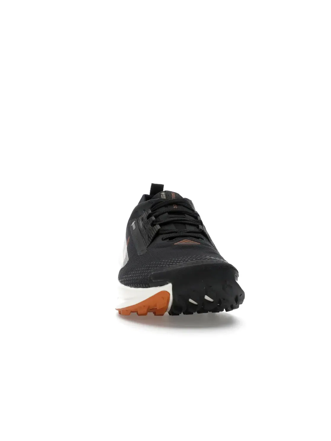 Мужские кроссовки для бега с мембраной Gore-Tex Nike Pegasus Trail 5 — изображение 2 из 4