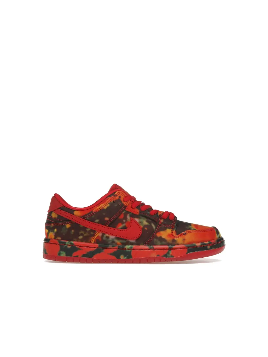 Детские кроссовки с принтом Nike SB Dunk Low The Wizard of Oz Poppy Field — изображение 1 из 4