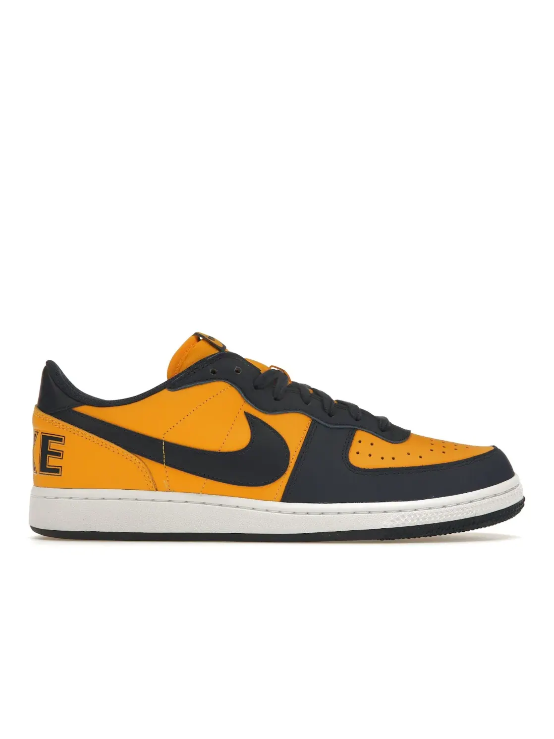 Мужские кроссовки с низким верхом Nike Terminator Low Nike — изображение 1 из 4