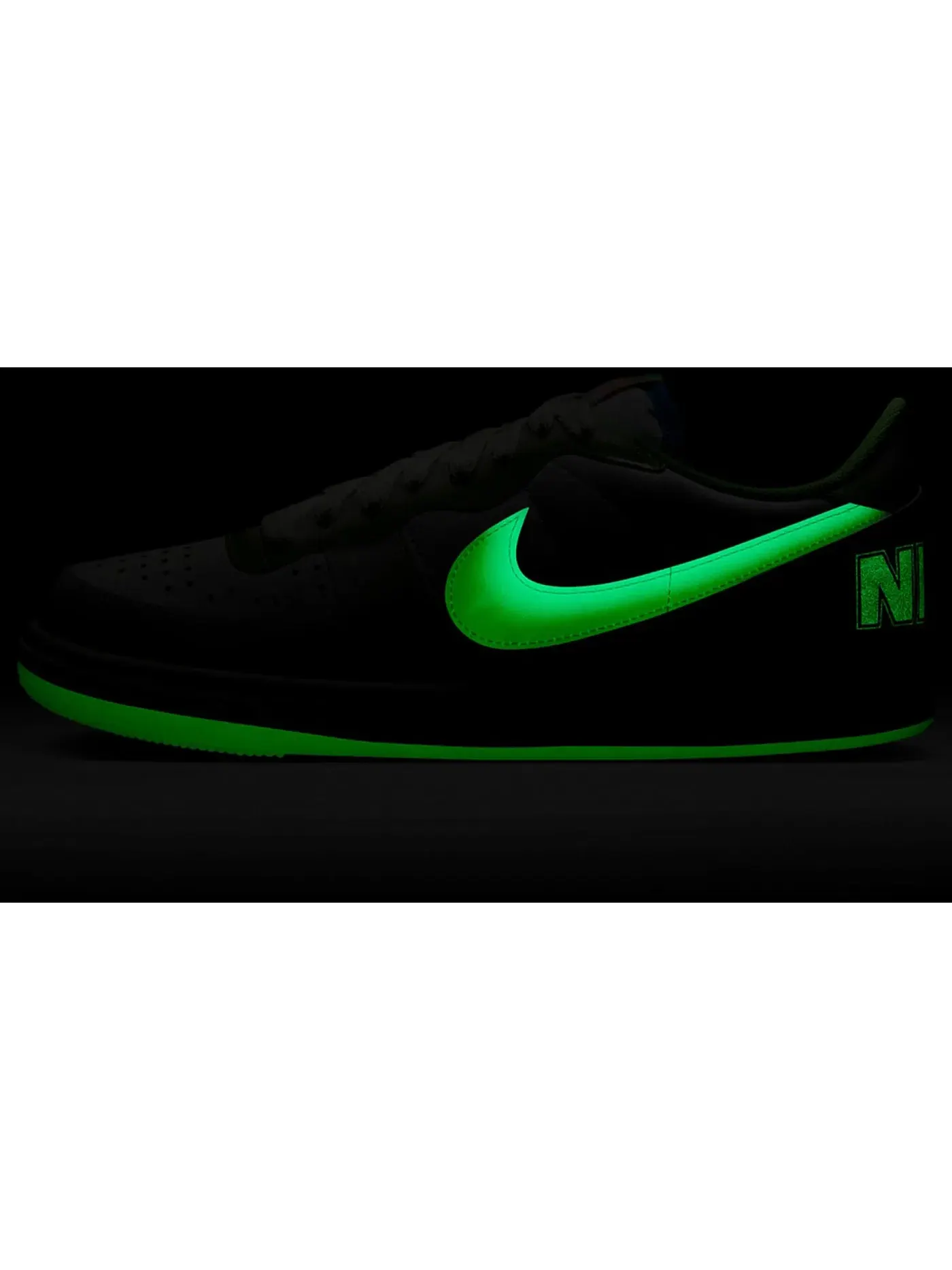 Мужские кроссовки Lifestyle Nike Terminator Low — изображение 5 из 5, синий