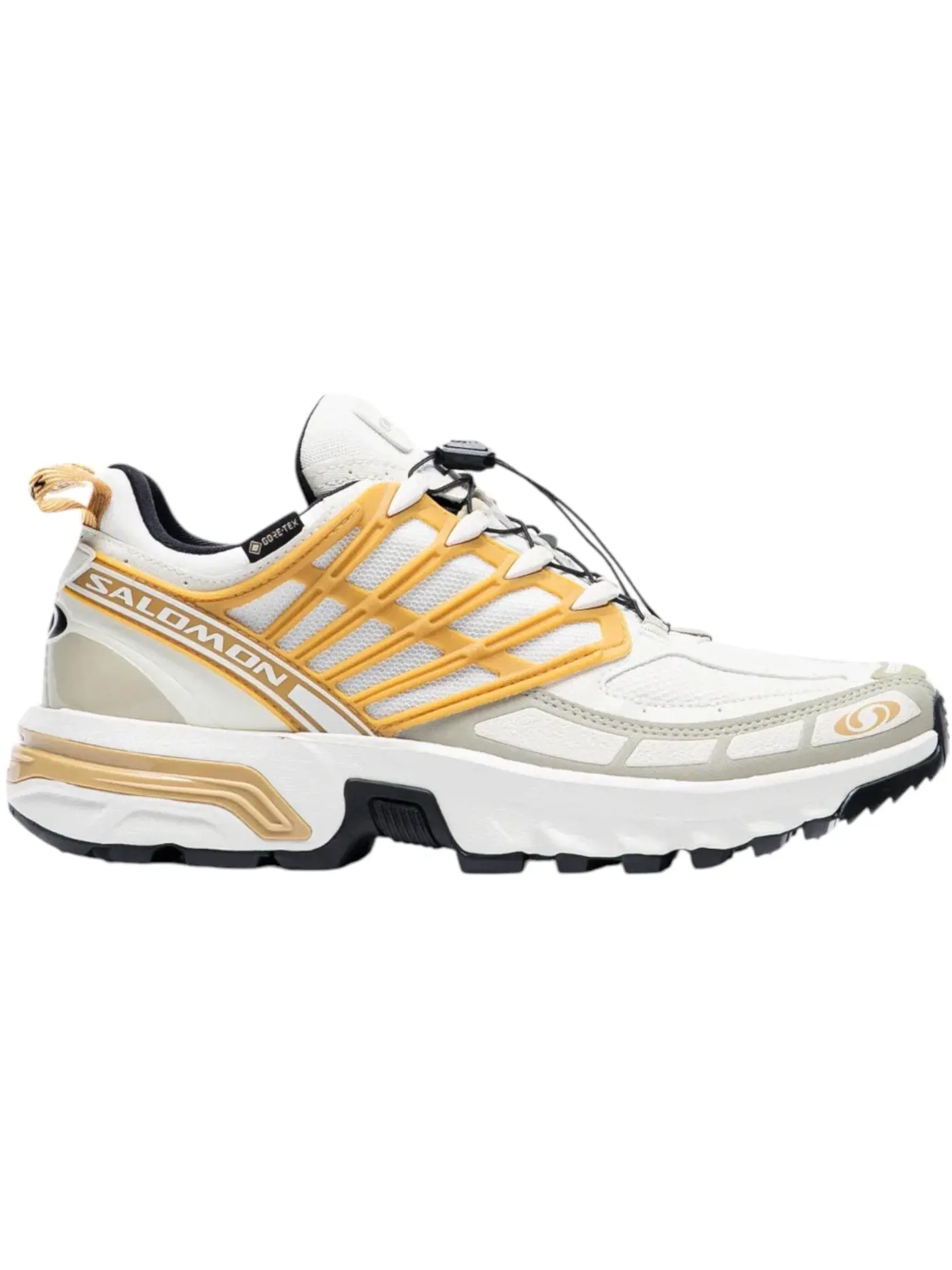 Мужские кроссовки Lifestyle с мембраной Gore-Tex Salomon Acs Pro Gore-Tex, Antelope Tea — изображение 1 из 1