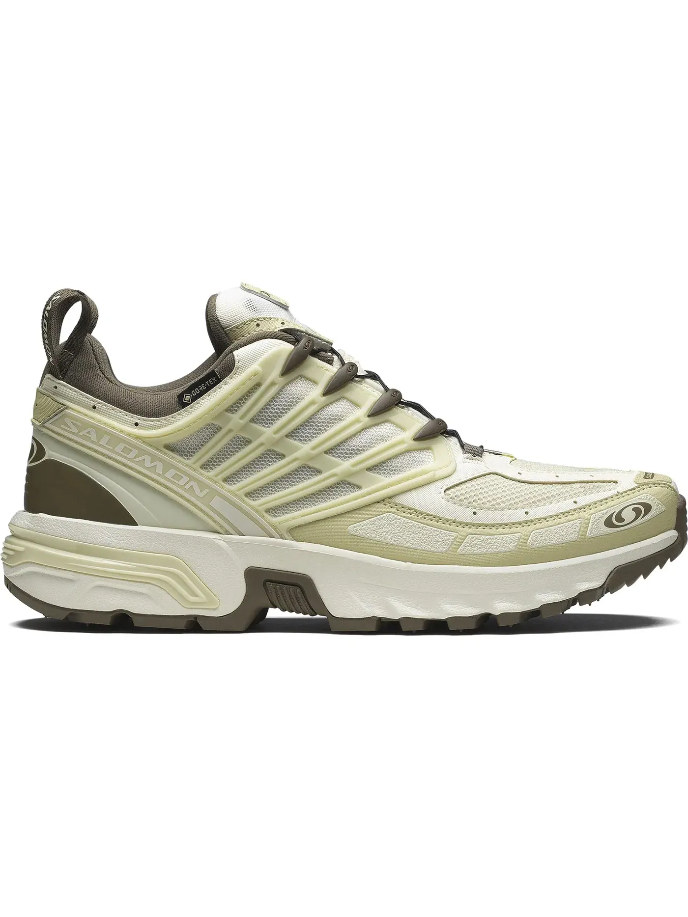 Кроссовки мужские Salomon ACS Pro Gore-Tex — изображение 1 из 1, зеленый/серый
