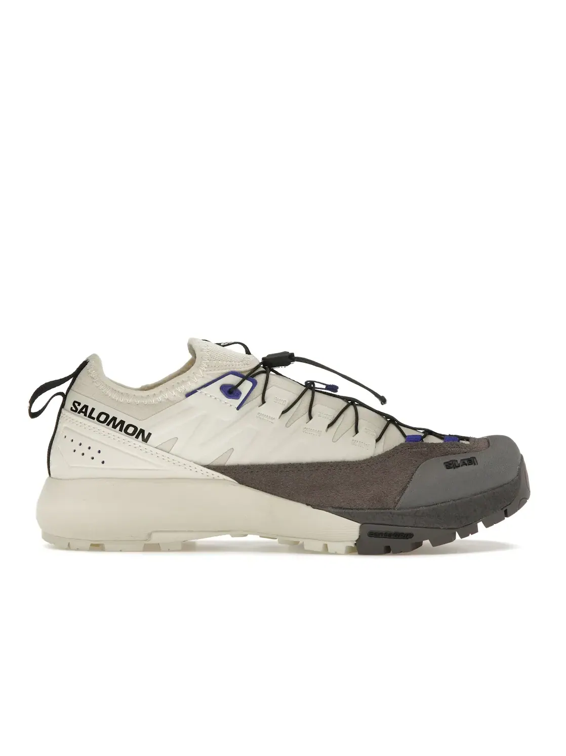 Кроссовки мужские Salomon Alpinway Advanced Lifestyle, Almond Milk Plum Kitten Clematis — изображение 1 из 4