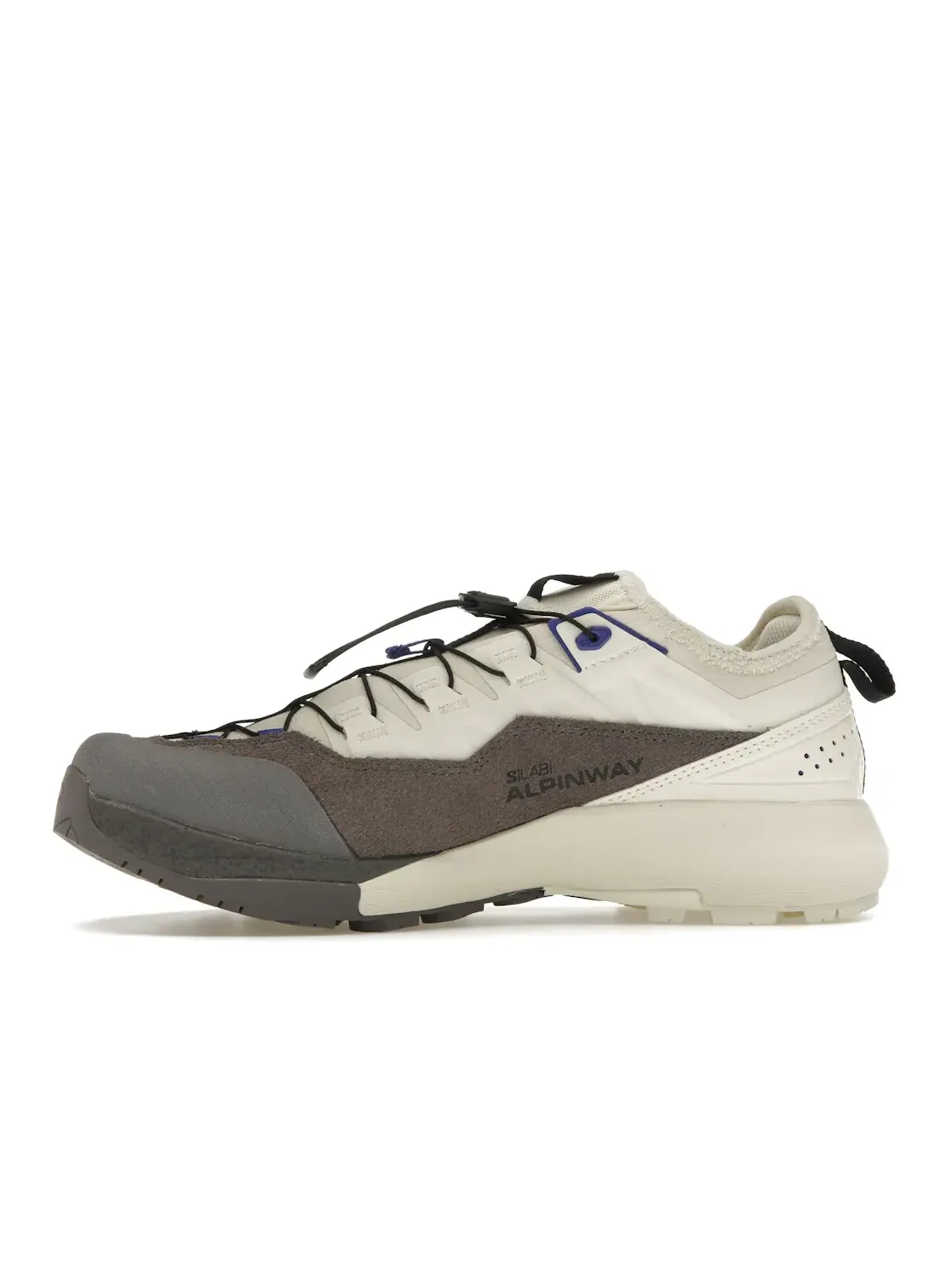 Кроссовки мужские Salomon Alpinway Advanced Lifestyle, Almond Milk Plum Kitten Clematis — изображение 3 из 4