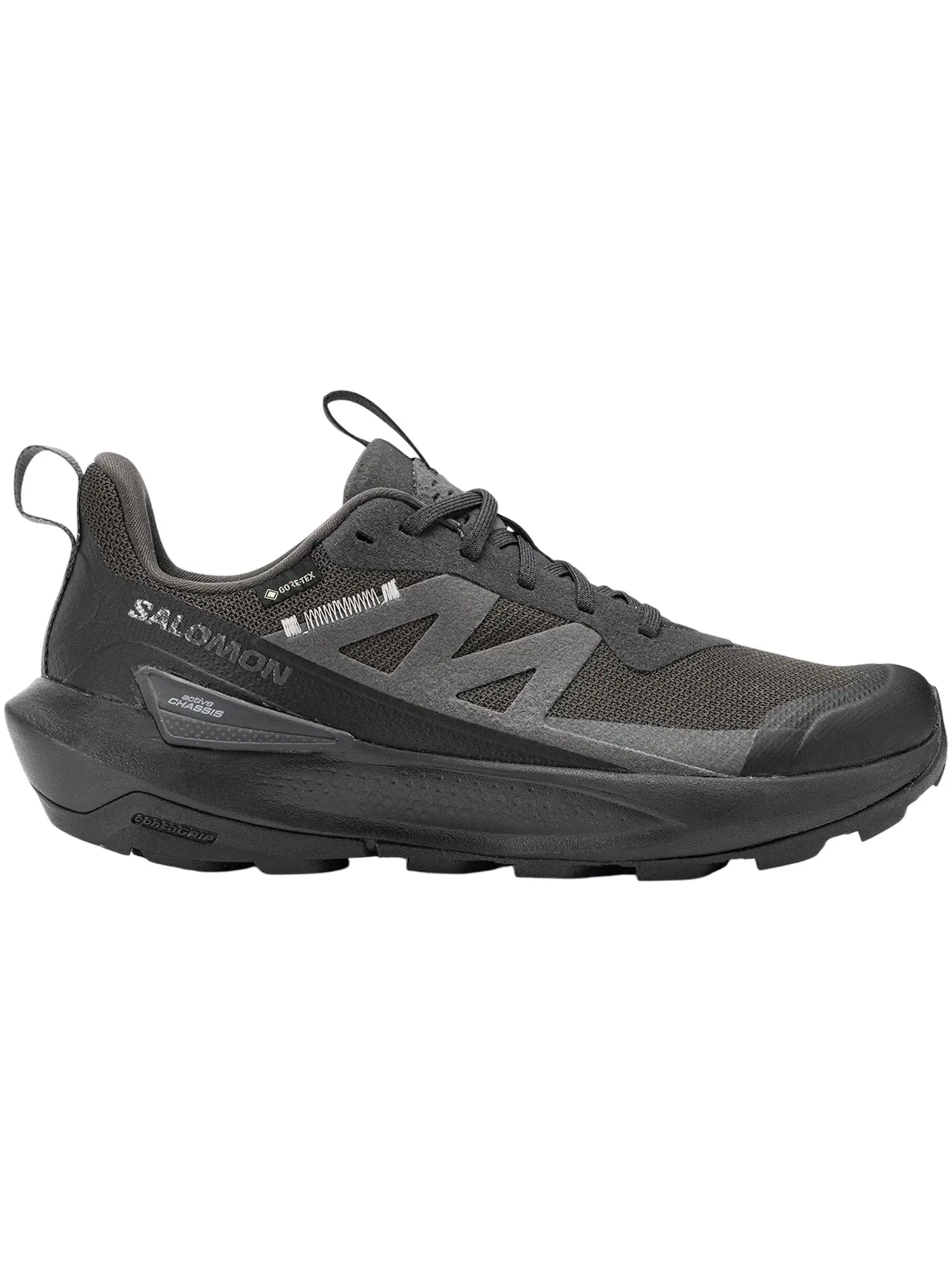 Кроссовки мужские для бега Salomon Elixir Activ Gore-Tex — изображение 1 из 1, черный
