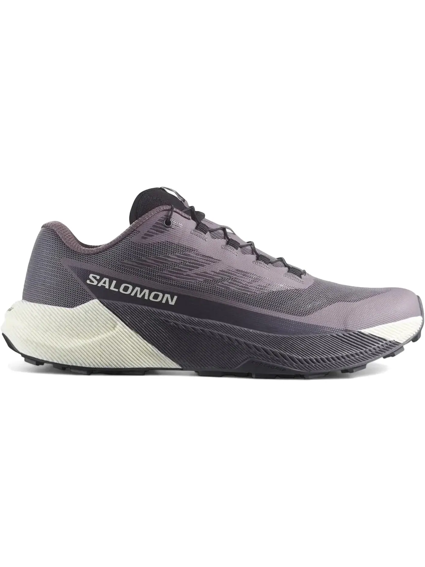 Кроссовки женские для бега Salomon Pulsar, Excalibur/Vanilla Ice/Nine Iron — изображение 1 из 1