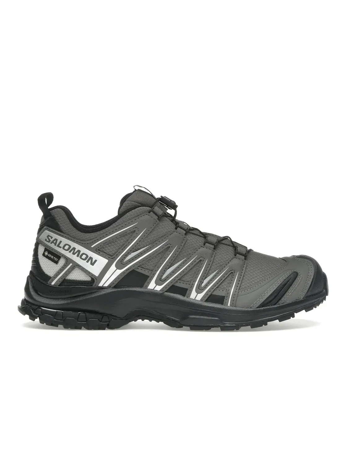 Кроссовки мужские Salomon XA Pro 3D Gore-Tex, с мембраной Gore-Tex — изображение 1 из 4, черный/серебристый