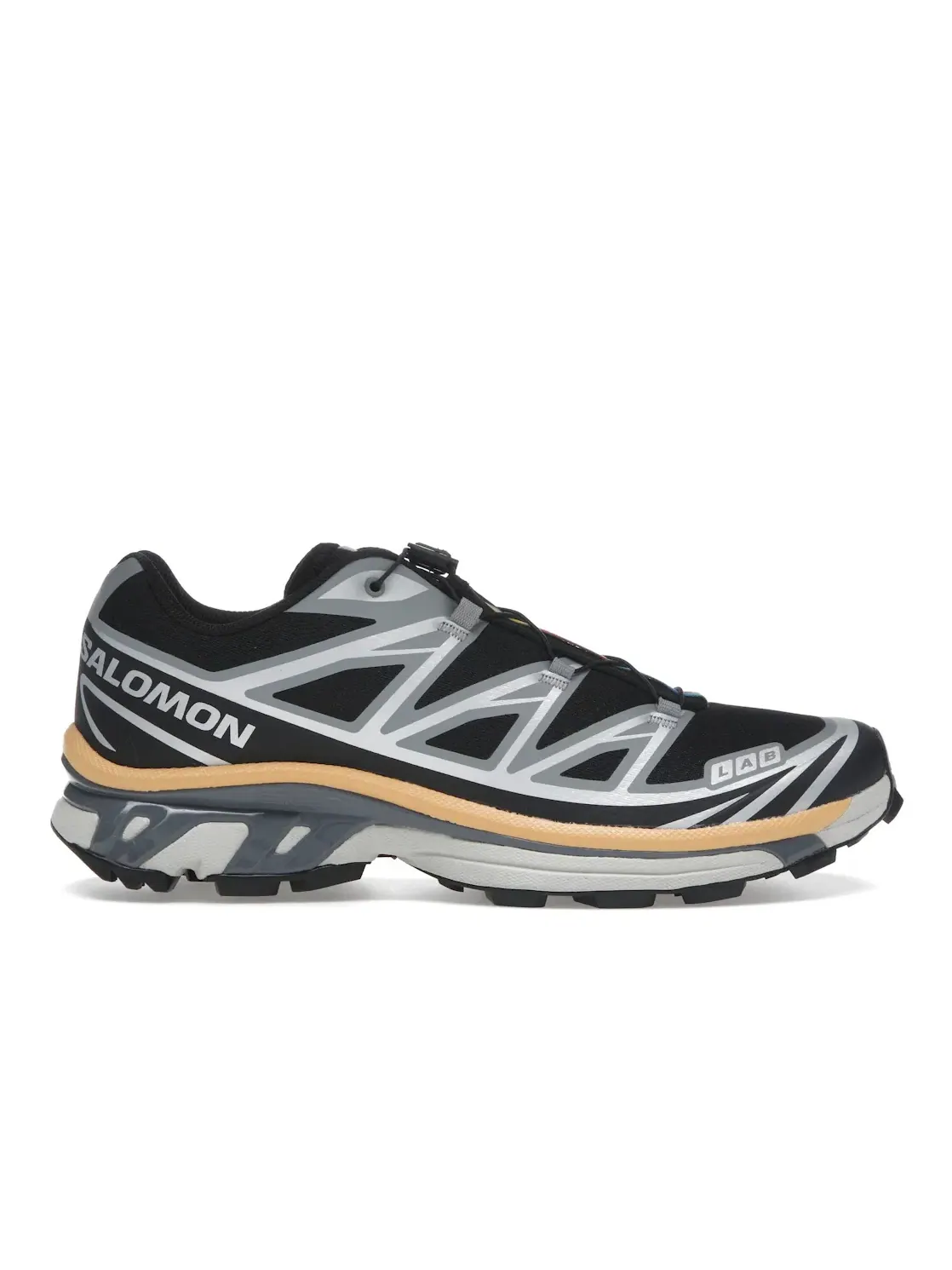 Кроссовки мужские для бега Salomon XT-6 — изображение 1 из 4, черный/серебристый